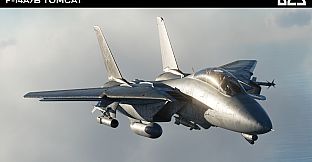 DCS: F-14A/B Tomcat by Heatblur Simulations