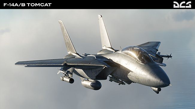 DCS: F-14A/B Tomcat by Heatblur Simulations