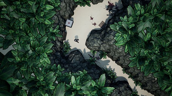 NORR part II: Will Walker