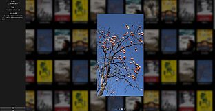 LunarManVideoLibrary~月球人影库