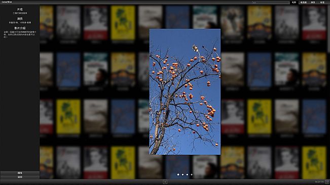 LunarManVideoLibrary~月球人影库