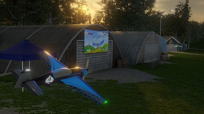 Wings Simulator