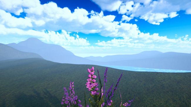 The Little Grass Simulator