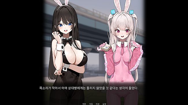 Superbunny's adventure