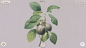 Plants Huddled Together