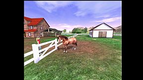 Grand horse attraction