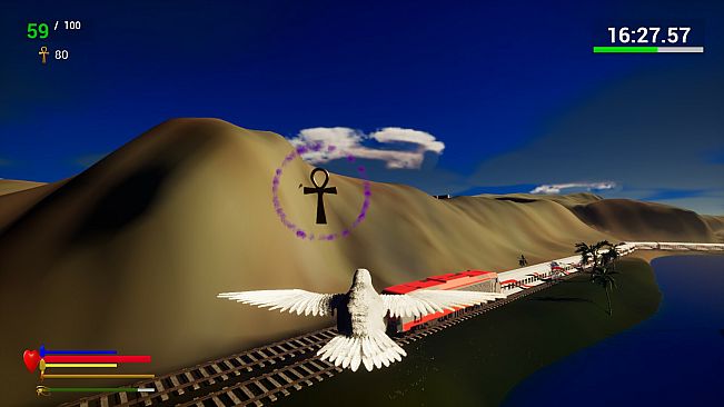 Unexpected Pigeon Race