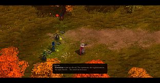 Magicka: The Other Side of the Coin