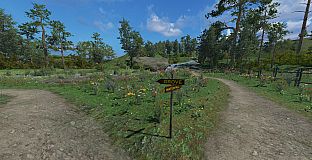 Just A Walk In The Park