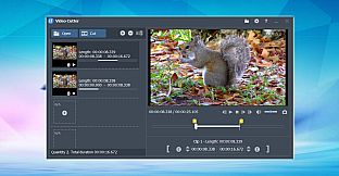 Fast video cutter joiner