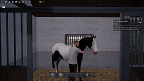 Unbridled: That Horse Game