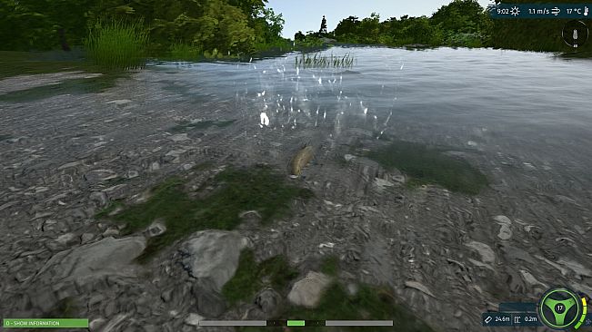 Ultimate Fishing Simulator - Taupo Lake DLC