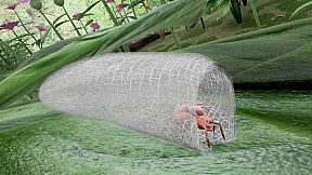 Nature And Life - Drunk On Nectar