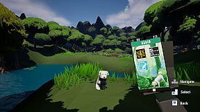 Dog Walking Adventures