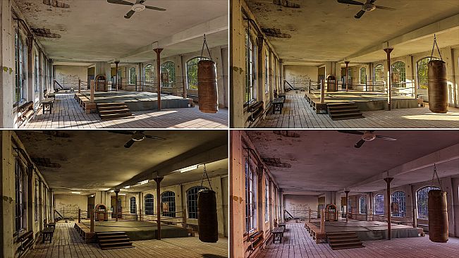 VRSO: Bare Knuckle Fighting