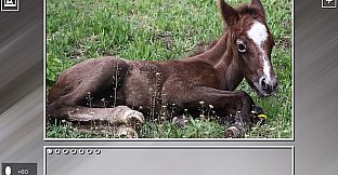 Super Jigsaw Puzzle: Generations - Horses Puzzles