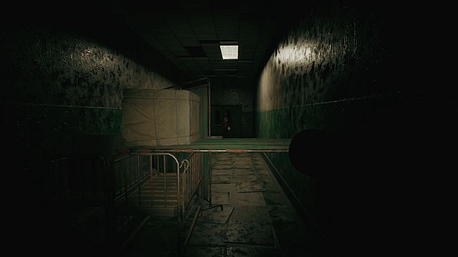 Palehollow Hospital | 灰谷医院