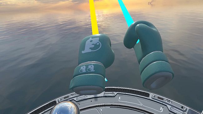 VR Boxing: Champion's Forge​