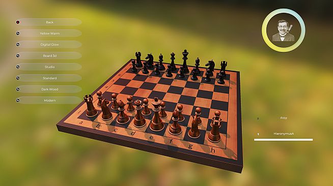 Fritz - Don't call me a chess bot