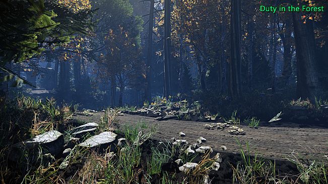 Duty in the Forest