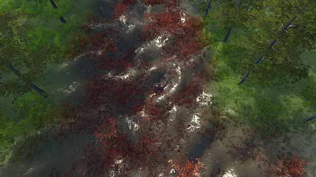 The Ball Flow - First Approach