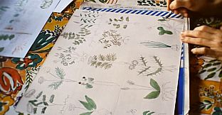 Boinihi - Bonus Content Pack