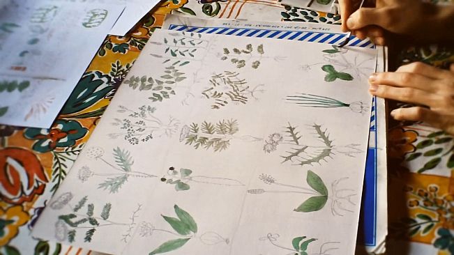 Boinihi - Bonus Content Pack