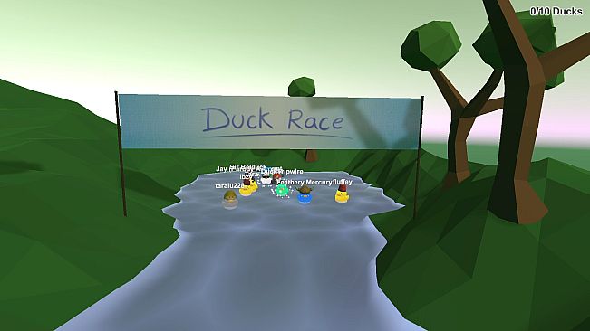 Duck Race
