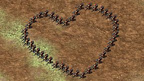 Zombie Rush : Extinction