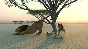 Blood, Sweat, and Lions