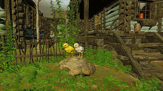 Animals for Clip maker