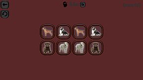 Animals Memory: Dogs