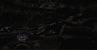 Welcome to the Chop House