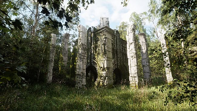 NextVisuals Benchmark Forest