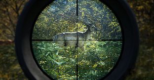 theHunter: Call of the Wild - Windows 10