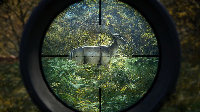 theHunter: Call of the Wild - Windows 10