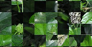 Displacement Arcade Game Box