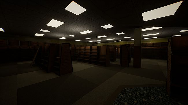 The Backrooms Recorded