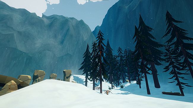 Harmony in the Wild Soundtrack