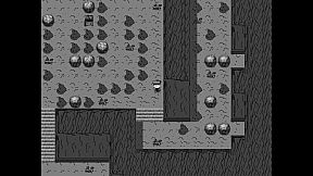 Monster Capture King