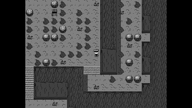 Monster Capture King