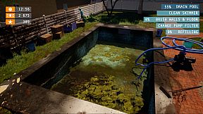 Swimming Pool Cleaner