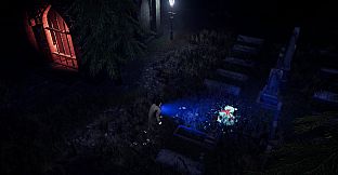 Deceptive Shadows: Final Case