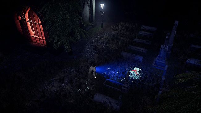Deceptive Shadows: Final Case