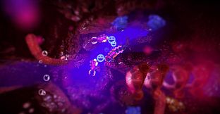 Into the Belly of the Beast