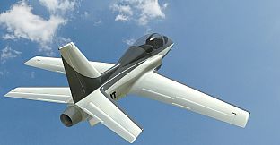 RealFlight Evolution - 2024 Year Content Pass