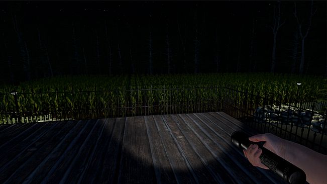 The Greys: Human Abductions