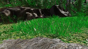 One Dollar Simulator