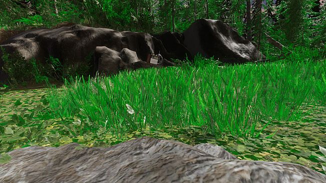 One Dollar Simulator