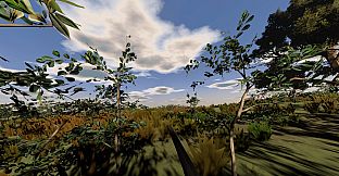 Hunting Life VR: Dove Season